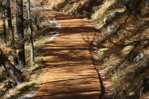 la route du lac - par Marc Jauniaux (05-11-2010)