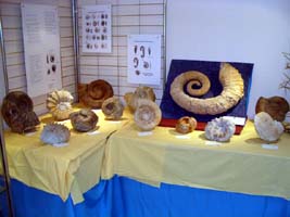 expo CEM 2006