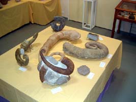 expo CEM 2006